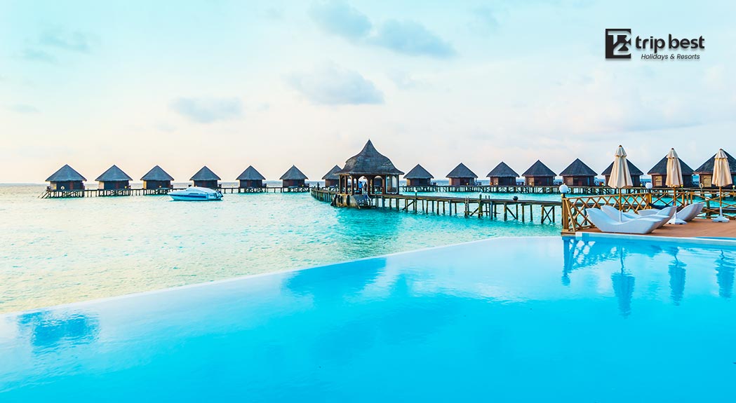 Maldives campaign launched by Tripbest