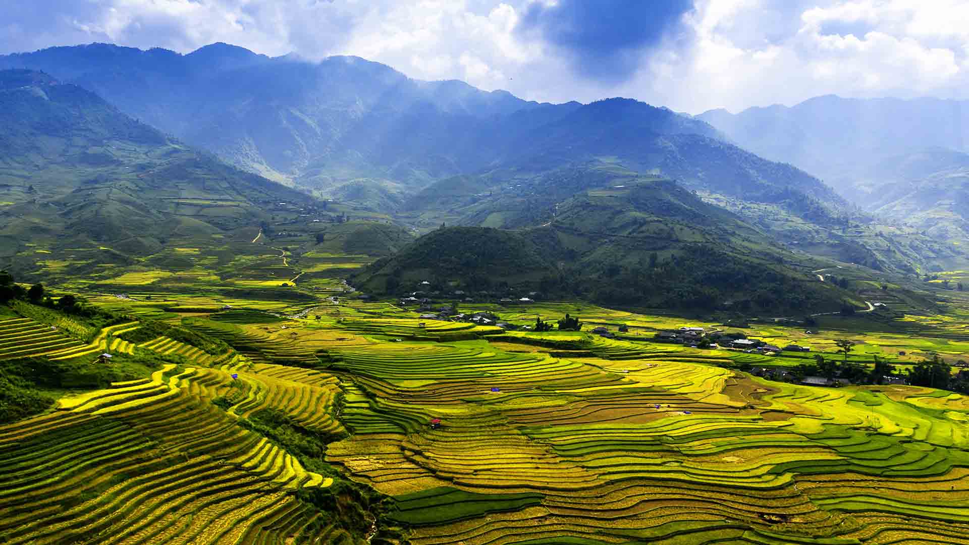 Offer & Packages for Vietnam