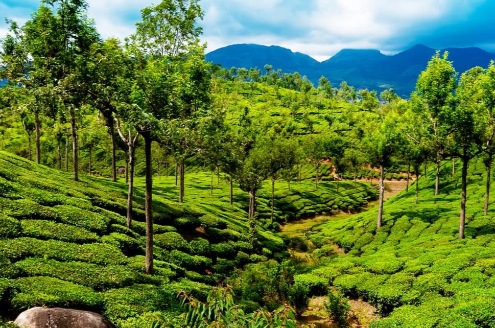 Thekkady