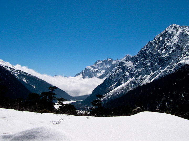Exclusive Darjeeling Pelling Tour Package